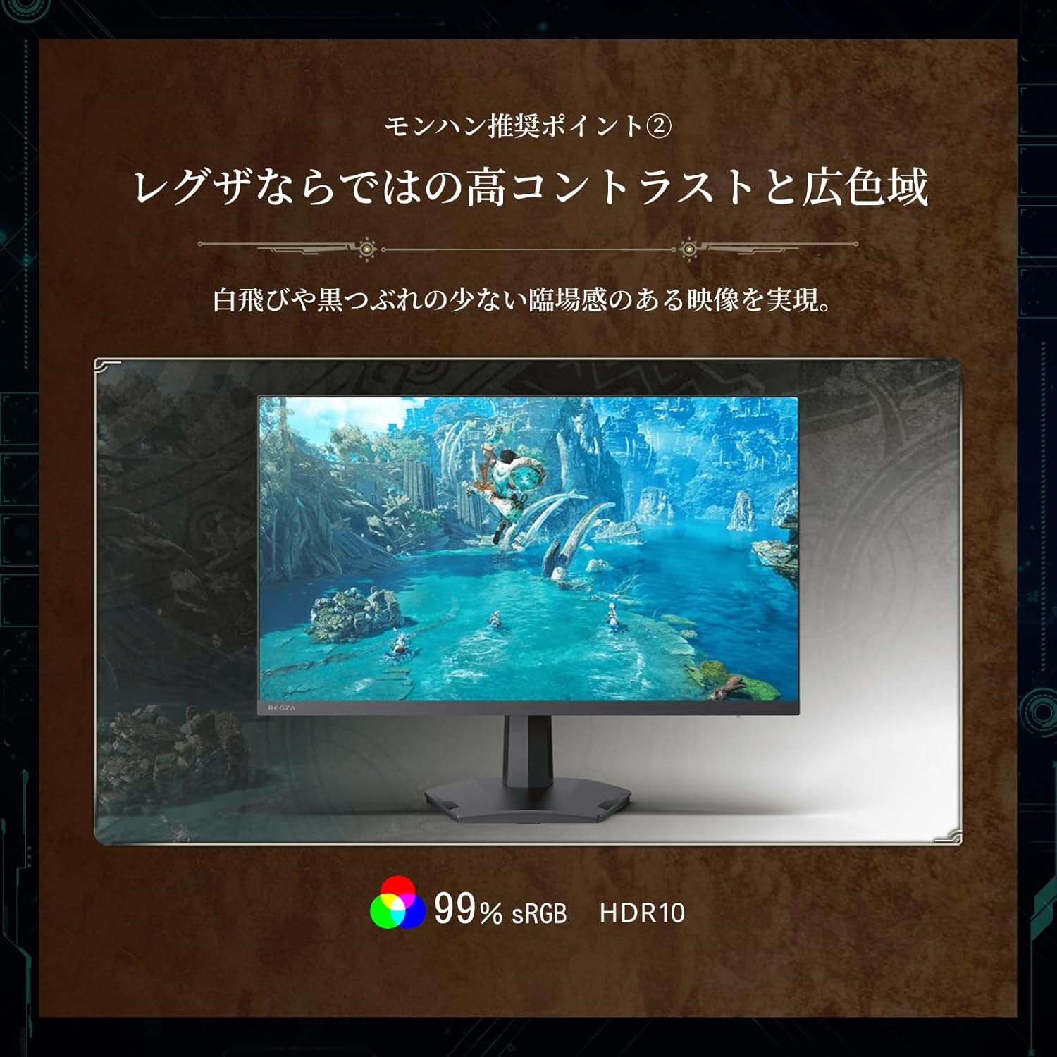 REGZA RM-G245Nの注意点・デメリット